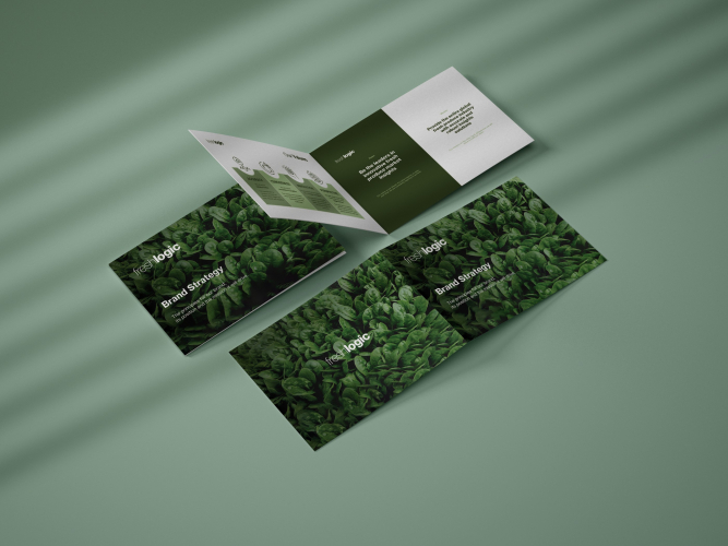 Freshlogic’s Growth: Branding, Marketing & Digital Success screenshot 2