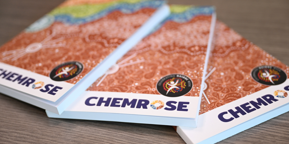 Indigenous Business Branding: Honouring Heritage While Driving Growth screenshot 3