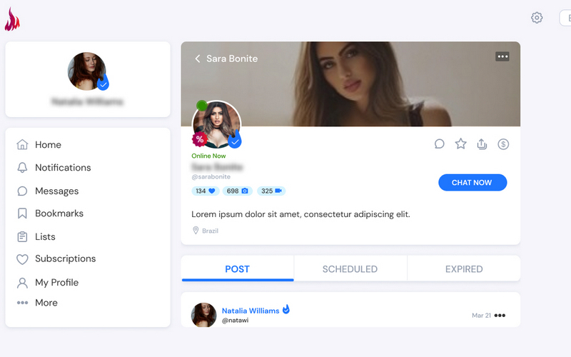 Multifunctional Social Messaging/Video Platform screenshot 2