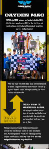 PRO EAGLE - Automotive  screenshot 5