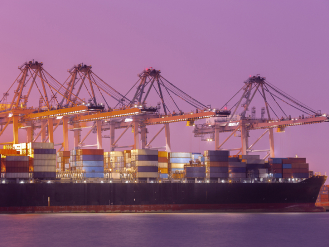 Elevate Your Business with Panaceatek's Software Development screenshot 1