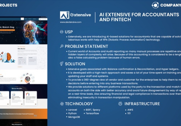 AI EXTENSIVE FOR ACCOUNTANTS AND FINTECH screenshot 1