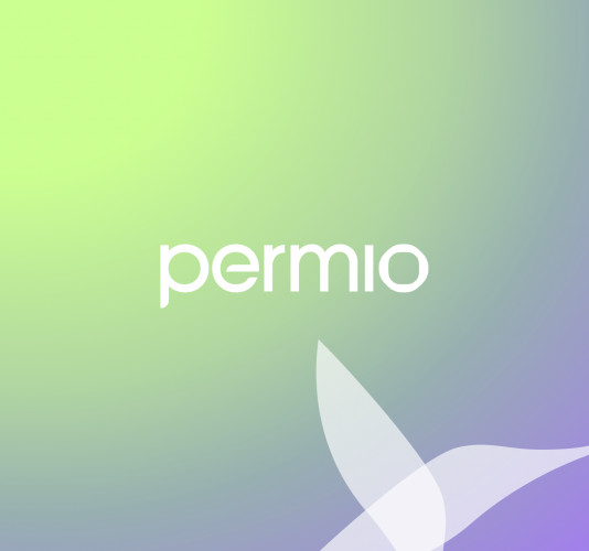 Branding & Web for Permio screenshot 1