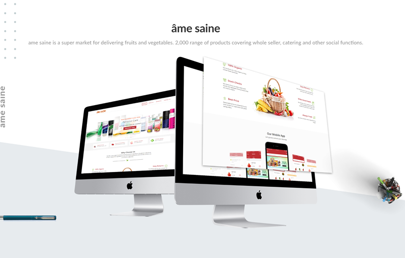 Ame Saine screenshot 1