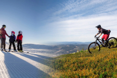 ALP (Alpinogfjell)