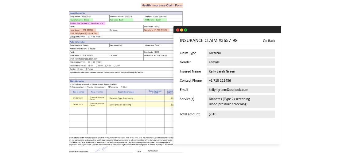 Insurance Claims Data Extraction System screenshot 1