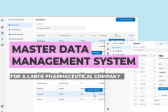 Master Data Management System