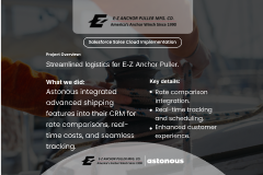 EZ Puller Salesforce Sales Cloud Implementation