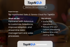 Tap N Go Salesforce CRM Implementation