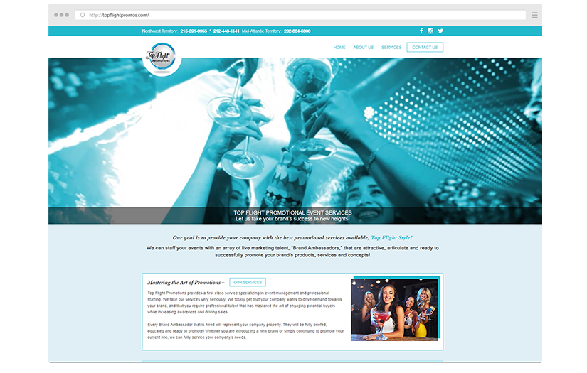 Top Flight Promotional screenshot 1