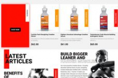 Ecommerce Development