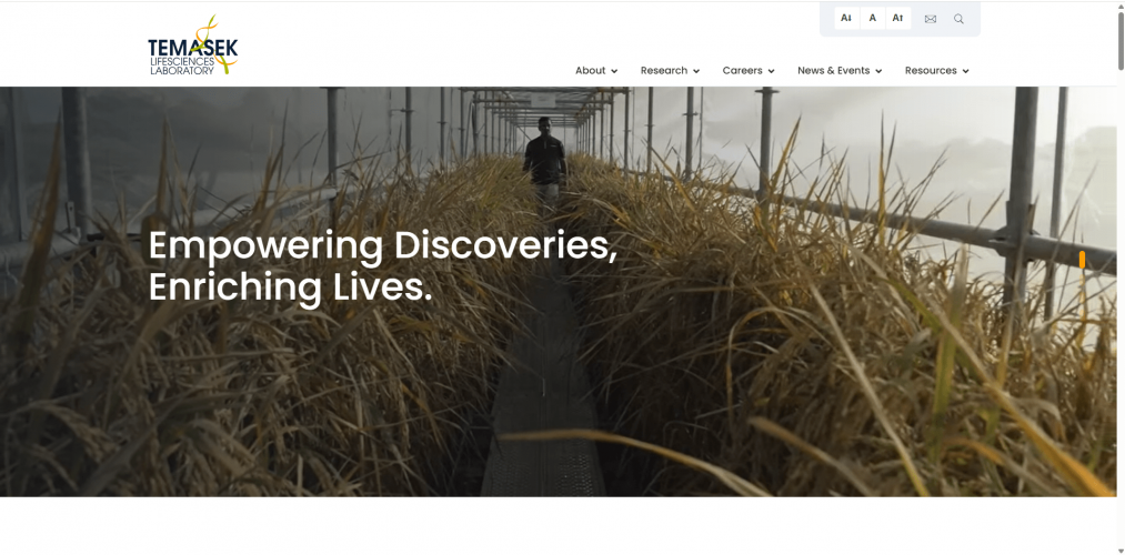 Temasek - Dedicated software engineer team screenshot 1