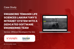 Temasek - Dedicated software engineer team