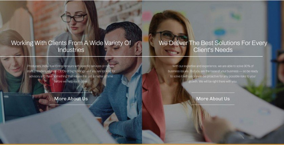 WordPress Website for DaladCapital screenshot 4