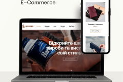 Website for LionLeather