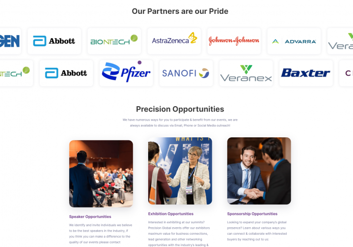 Precision Evolution Global Inc Website Design & Development screenshot 1