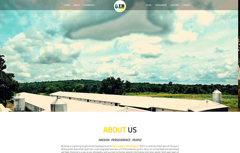 I.B. Group screenshot 1