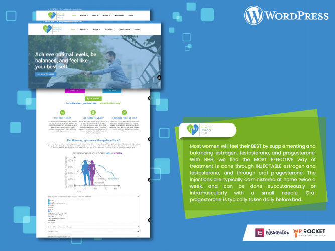 WordPress Website Development screenshot 1
