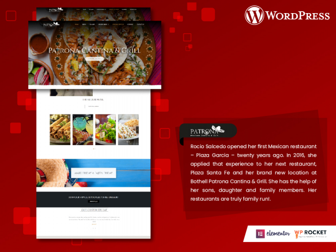 WordPress Website Development screenshot 1