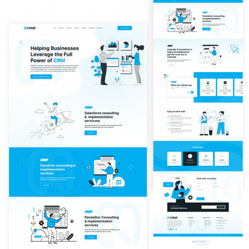 Wordpress website Development For CRM Integration & Consulting Services screenshot 2