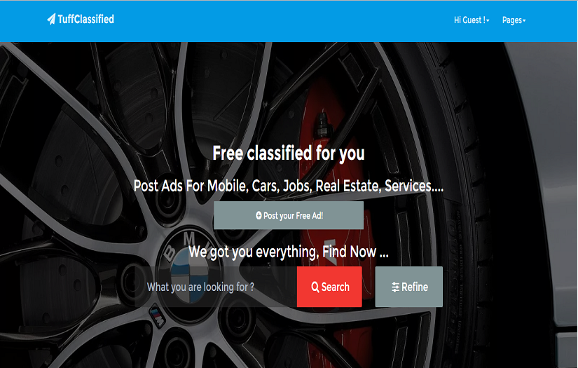 Custom PHP  Classified Ads Website Solutions screenshot 1