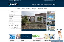 .Net  Real Estate Website Solutions