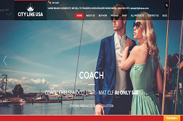 Woo Commerce  e-Commerce Solutions