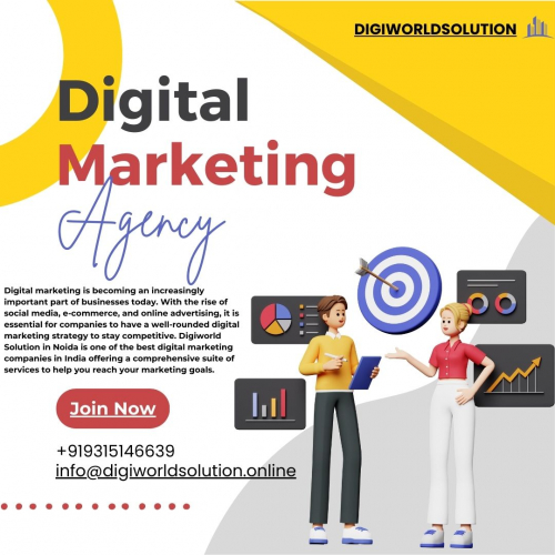 Digital Marketing Agency Digiworld Solution screenshot 1