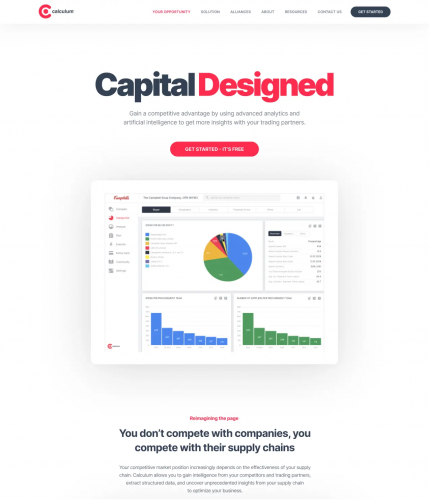 Calculum / Design / Animations / Webflow & VueJS screenshot 5