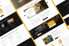 Vit2Go / Website Redesign / E-commerce / WordPress