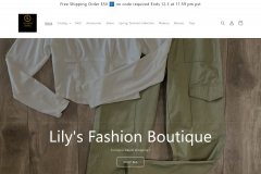 Lily's Fashion Boutique Digital Transformation Success Story