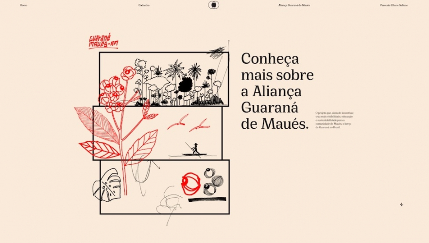 Guaraná Cultura and Guaraná Maués Alliance screenshot 3