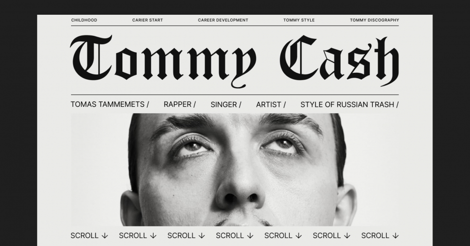 Tommy Cash: Digital Canvas - Crafting the Artistic Web Odyssey screenshot 3