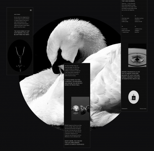 E-commerce website: Remarc fragrances screenshot 3