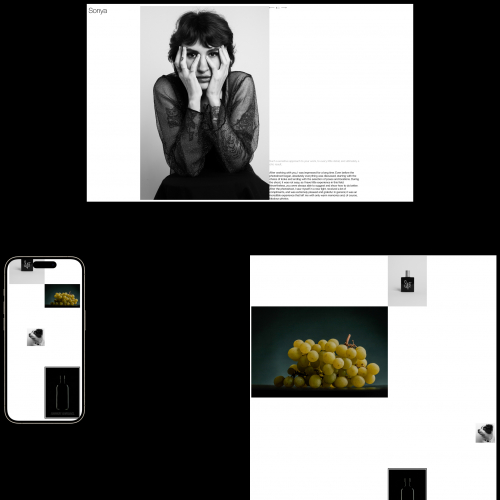 Transforming a Photographer's Vision into an Immersive Website screenshot 1