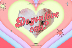 Landing: about Israeli street cats