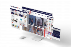 WordPress E-Commerce Custom