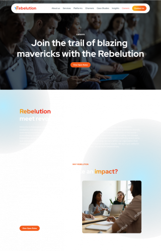 Brand and Web Identity for Rebelution screenshot 3
