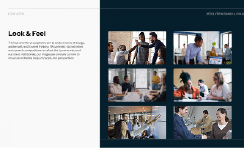 Brand and Web Identity for Rebelution screenshot 4