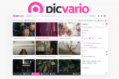 Picvario - AWS Migration & Infrastructure Upgrade