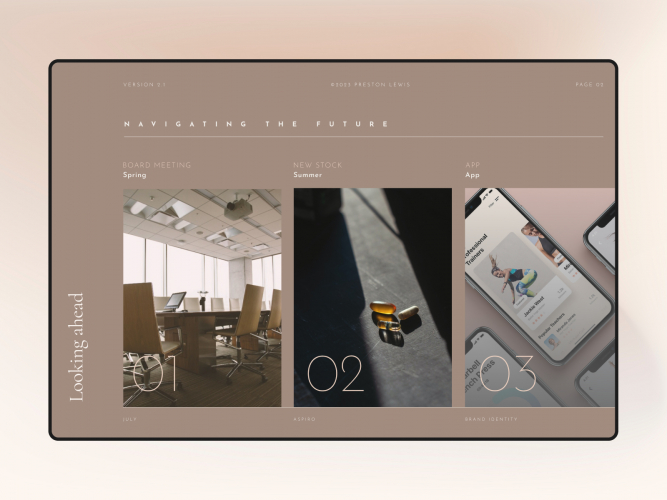 Aspiro Brand Guidelines screenshot 2