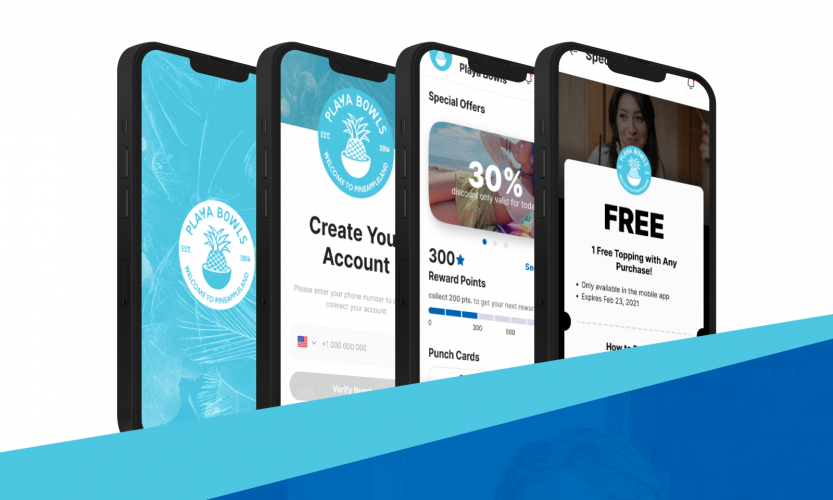 $200M Retail B2B Commerce Platform screenshot 3