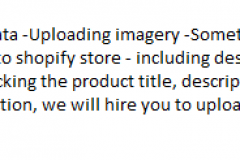 Shopify E-commerce Product Assistant