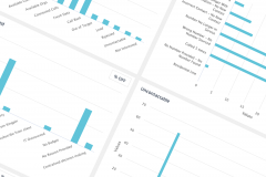 Our software development partnership with Argus