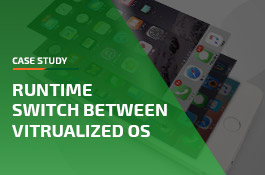 Runtime Switch between Virtualized OS
