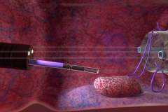 Mayo Clinic's 3D Video Production