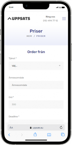Uppsats screenshot 1