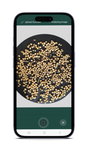 GoMicro - AI-Powered grain quality assessor mobile app screenshot 5