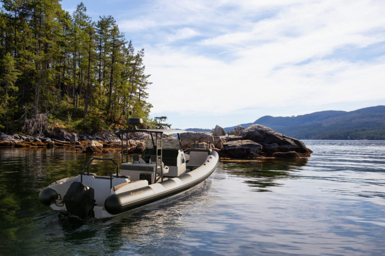 SEA VOYAGER / YACHT RENDERING screenshot 1