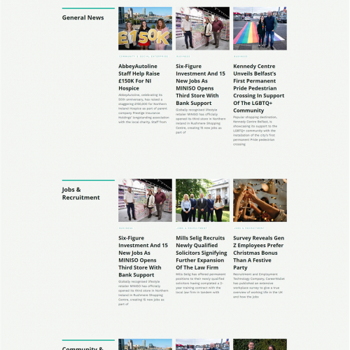 WordPress Website with Elementor Pro screenshot 4